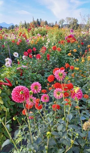 391717842 822437986346407 4118929584815510097 n