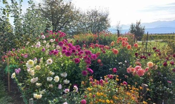 391719722 822438303013042 2176164323124869717 n 391719722 822438303013042 2176164323124869717 n