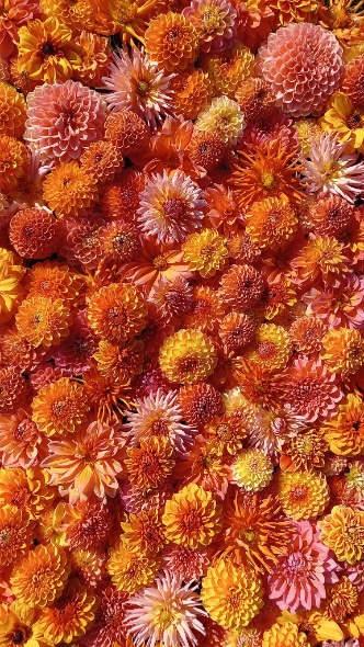 391735199 825064686083737 6293236624957954964 n