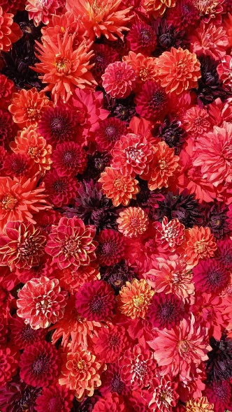 391746003 825061952750677 1989988011030259692 n