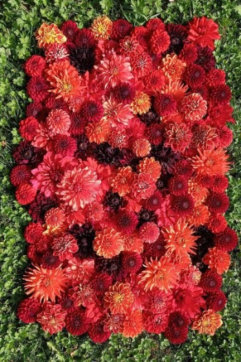 391746799 825061899417349 2381267105507425314 n