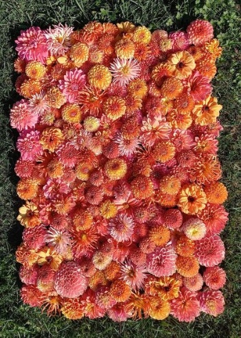 391749521 825064636083742 3277444506433587272 n 391749521 825064636083742 3277444506433587272 n