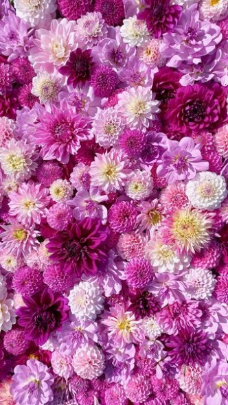 391758939 825062942750578 8374164584065914056 n