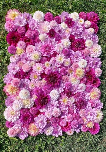 391759692 825062842750588 3996658487374411241 n