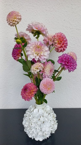 394246022 826730825917123 1492333505865895355 n 394246022 826730825917123 1492333505865895355 n