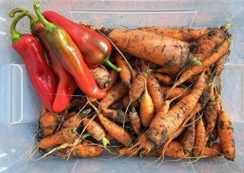 395212649 828976225692583 308512816388186871 n 395212649 828976225692583 308512816388186871 n