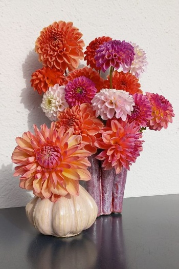 395324042 829003052356567 7643329421011644907 n 395324042 829003052356567 7643329421011644907 n