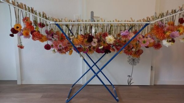 396697576 832842518639287 4013686078575645077 n 396697576 832842518639287 4013686078575645077 n