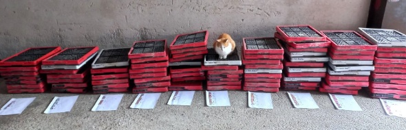 398049028 832944635295742 7424836918966371380 n 398049028 832944635295742 7424836918966371380 n