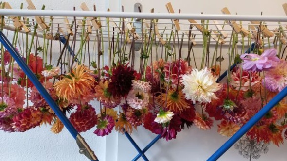 398049303 832842561972616 422995911090377825 n