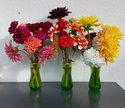 399825865 836583858265153 1607753401579098599 n 399825865 836583858265153 1607753401579098599 n