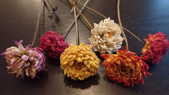 401188311 839605947962944 8900190305138232477 n