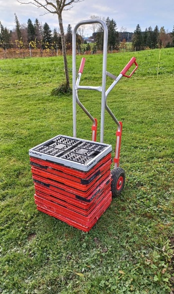 404234127 844048100852062 2939937972267819483 n