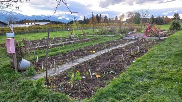 404440573 843318844258321 2898405684132208794 n 404440573 843318844258321 2898405684132208794 n