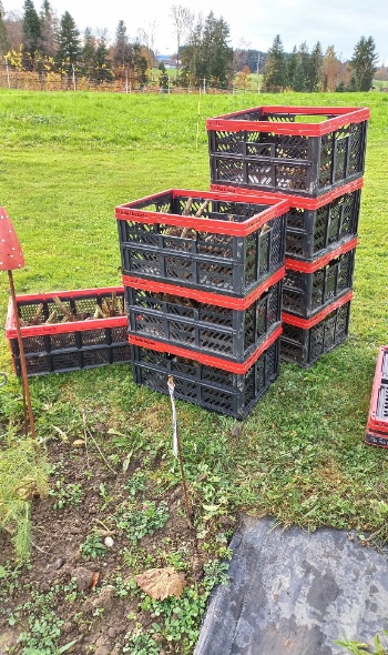 404460290 844048360852036 4071108425285338125 n