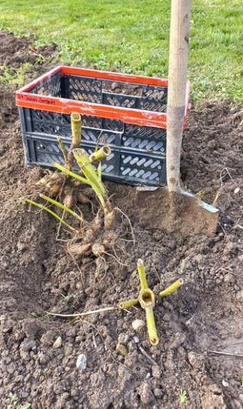 404460578 844048294185376 2361625170456064541 n 404460578 844048294185376 2361625170456064541 n