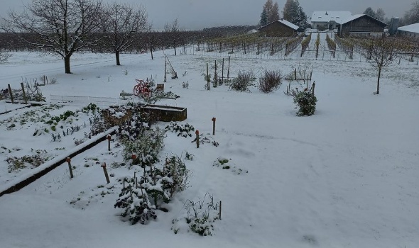 406336130 849377486985790 1887184127352118165 n 406336130 849377486985790 1887184127352118165 n