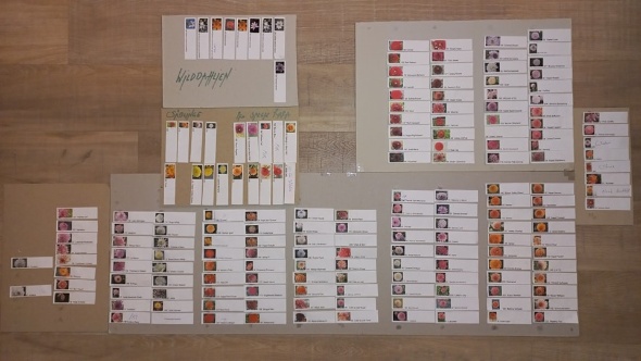 425257638 886550429935162 1739330508065464757 n 425257638 886550429935162 1739330508065464757 n