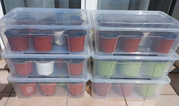 20240321 135429 20240321 135429