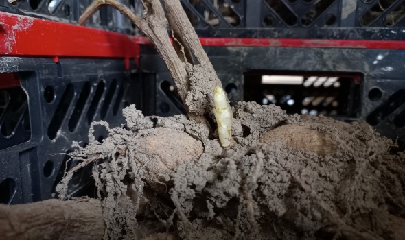 20240404 150452 20240404 150452