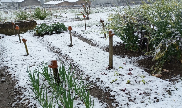 20240418 094107 20240418 094107