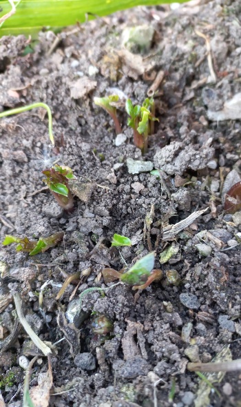 20240427 190204 20240427 190204