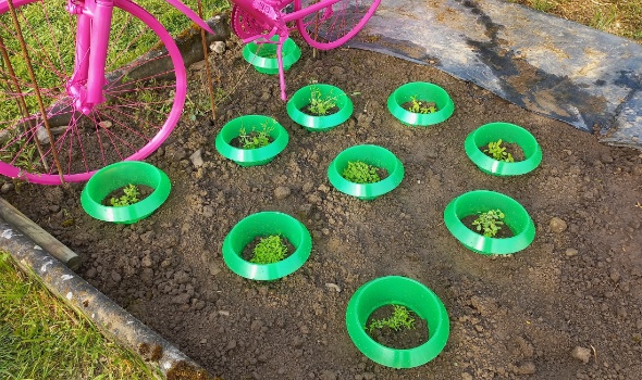 20240429 173121 20240429 173121