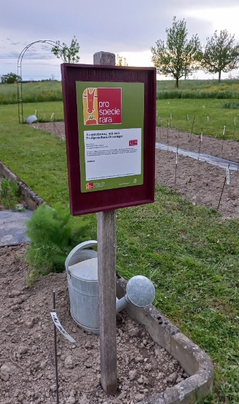 20240501 194849 20240501 194849