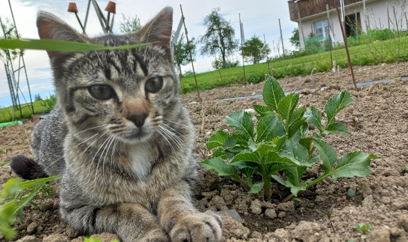 20240520 182156 20240520 182156