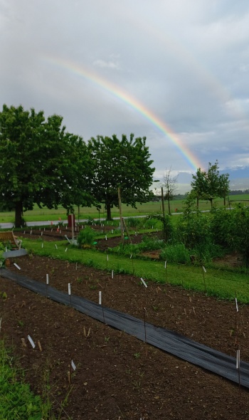 20240521 190315 20240521 190315