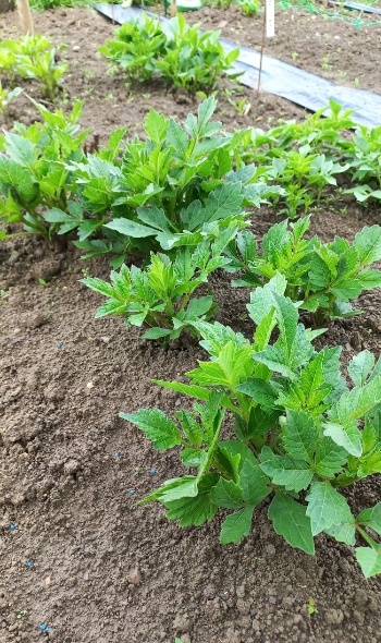 20240530 084708 20240530 084708