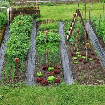 20240530 085736 20240530 085736