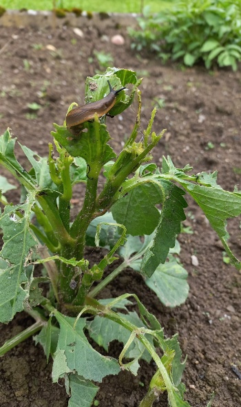 20240601 170355 20240601 170355