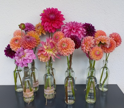 20240715 125042 20240715 125042