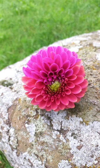 20240723 065732 20240723 065732