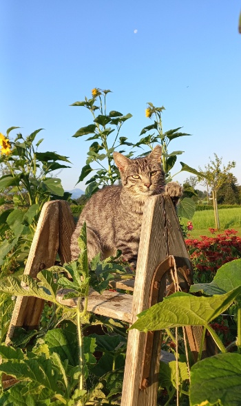 20240725 072536 20240725 072536