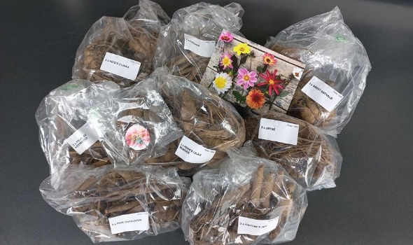 433842356 913544460569092 5849390225899926469 n 433842356 913544460569092 5849390225899926469 n