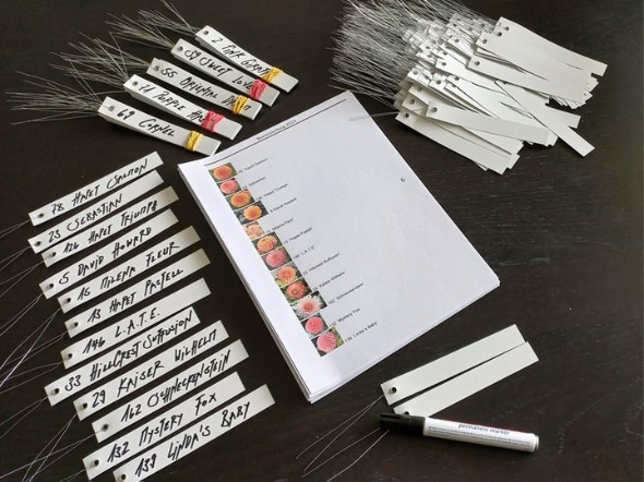 434748850 922436706346534 5677271798497864300 n 434748850 922436706346534 5677271798497864300 n