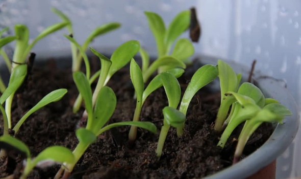 432928537 921682769755261 5376034800361141777 n 432928537 921682769755261 5376034800361141777 n