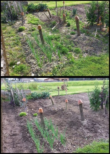 435906111 925619916028213 8744402466685032964 n 435906111 925619916028213 8744402466685032964 n