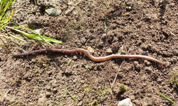 20240411 110925 1 20240411 110925 1