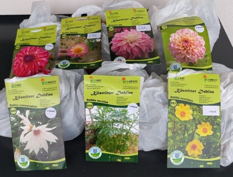 438092467 937531431503728 6254596839486240248 n 438092467 937531431503728 6254596839486240248 n