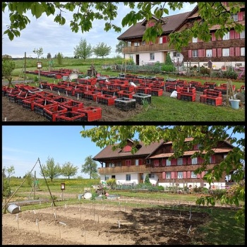 440958458 939150918008446 9036389333344177830 n 440958458 939150918008446 9036389333344177830 n