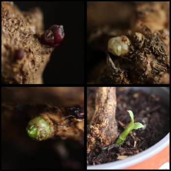 440947275 941186127804925 3173952462783869775 n 440947275 941186127804925 3173952462783869775 n