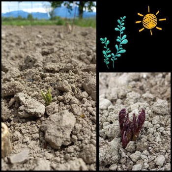 438100814 942947037628834 5008480142319175270 n 438100814 942947037628834 5008480142319175270 n