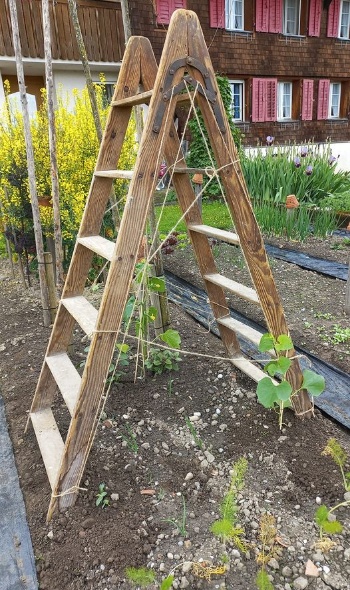 440606851 943116610945210 491149759157222901 n 440606851 943116610945210 491149759157222901 n