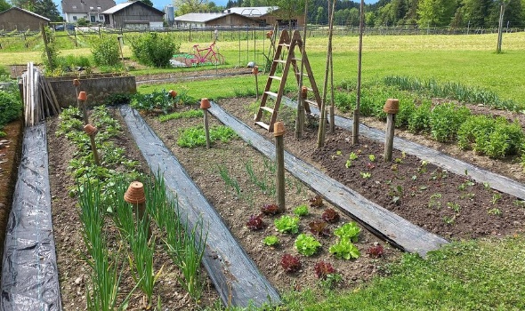 436310663 947902030466668 2704091164091853138 n 436310663 947902030466668 2704091164091853138 n