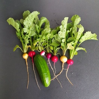 443718093 953308573259347 4230683552610258589 n 443718093 953308573259347 4230683552610258589 n