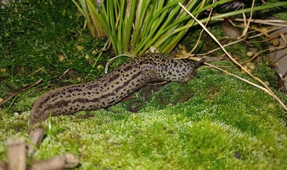 444204595 956379479618923 2276182990605307222 n 444204595 956379479618923 2276182990605307222 n