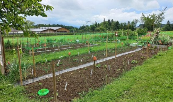 445533226 956686446254893 2556192678122407452 n 445533226 956686446254893 2556192678122407452 n